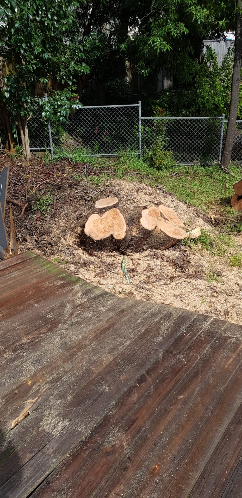 Stump Grinding Sydney - Sam's Tree Services North Shore
